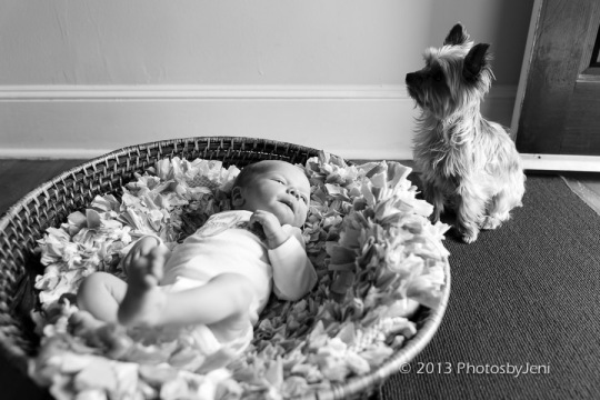 newborn photos in black and white