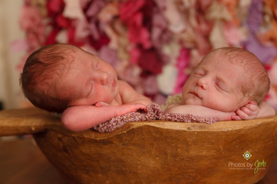 Charlotte newborn photos of twins