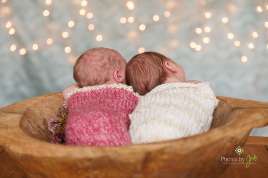Charlotte newborn photos of twins